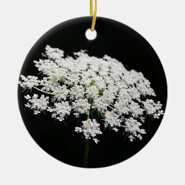 Queen Anne's Lace ornament (Front)