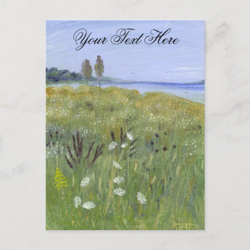 Queen Annes Lace Postcard