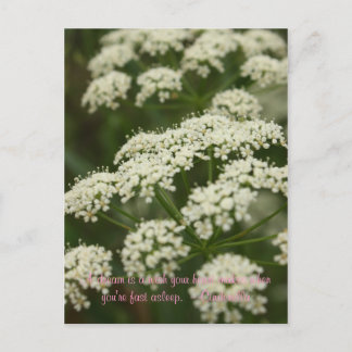 Queen Anne's Lace- Stamp Postcard