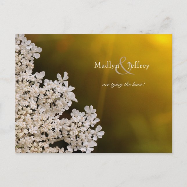 Queen Anne's Lace sunlight wedding save the date Announcement Postcard (Front)