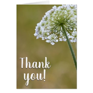 Queen Anne's Lace Thank You Card Queen Anne's Lace Thank You Card