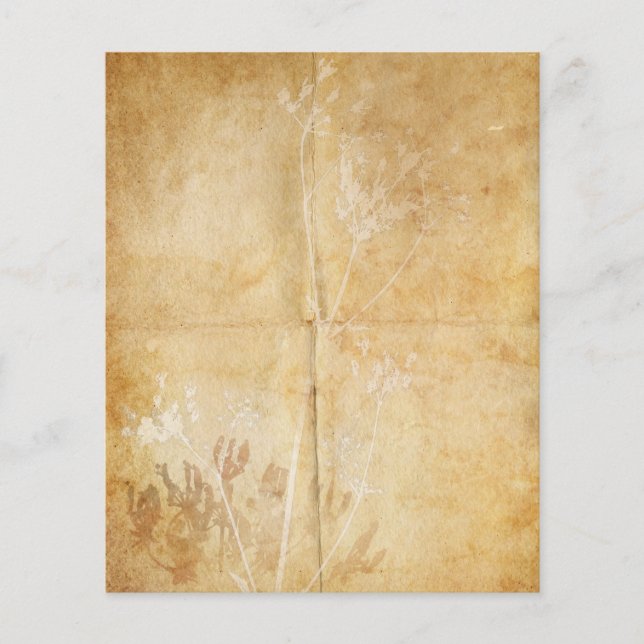 Queen Anne's Lace Watercolor Parchment (Front)