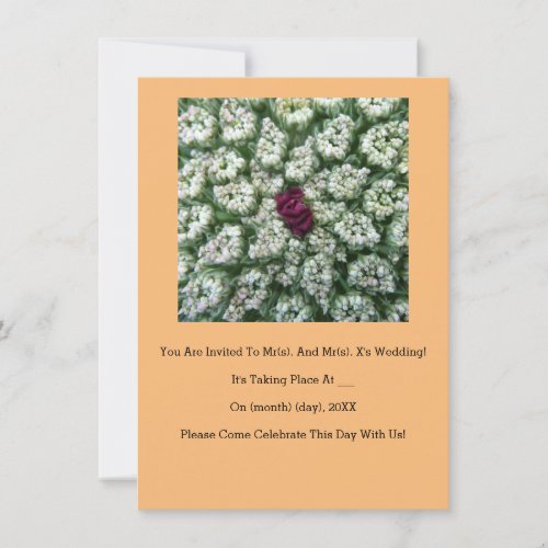 Queen Annes Lace Wedding Invitation