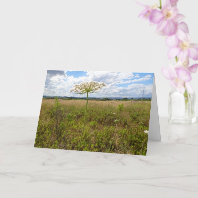 Queen Anne's Lace, Wild Floral Landscape Card (Orchid)