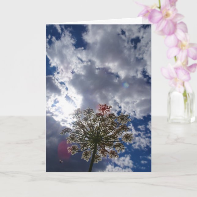 Queen Anne's Lace, Wild Floral Landscape Card (Orchid)
