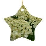 Queen Anne's Lace Wildflower Floral Photo Ceramic Ornament