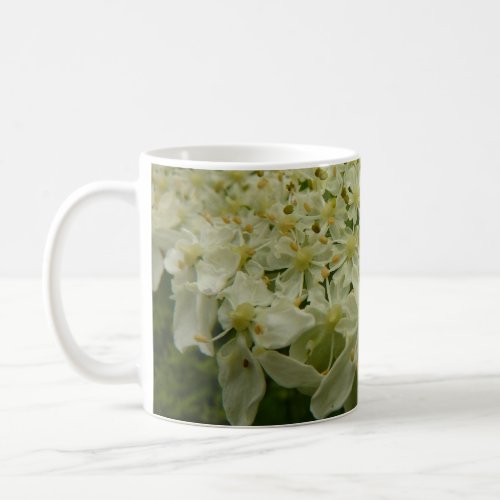 Queen Annes Lace Wildflower Floral Photo Coffee Mug