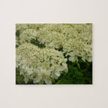 Queen Anne's Lace Wildflower Floral Photo Jigsaw Puzzle