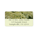 Queen Anne's Lace Wildflower Floral Photo Label