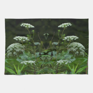 Queen Anne's Lace Wildflower in Summer Kitchen Towel