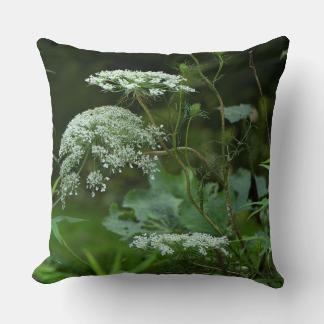 Queen Anne's Lace Wildflower in Summer Throw Pillow (Front)