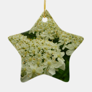 Queen Anne's Lace Wildflower Photo Ceramic Ornament