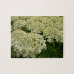 Queen Anne's Lace Wildflower Photo Jigsaw Puzzle