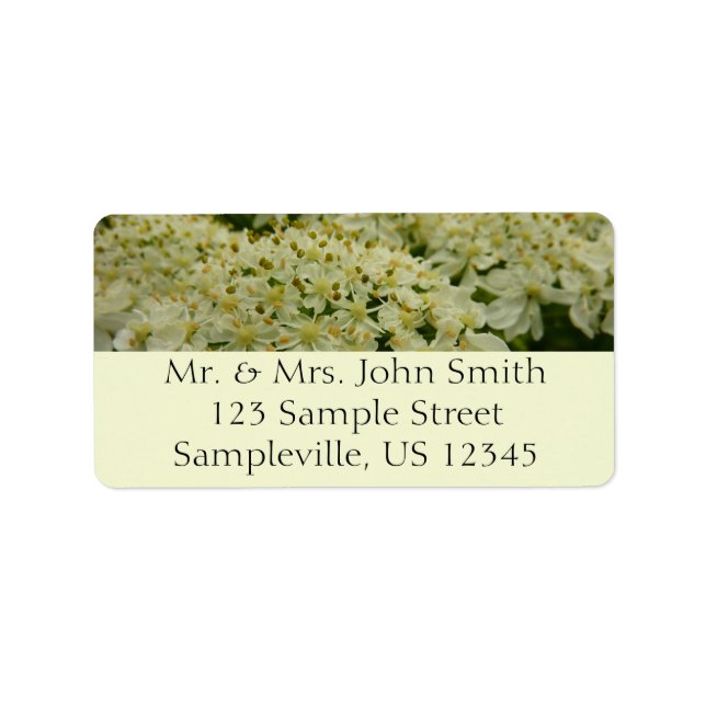 Queen Anne's Lace Wildflower Photo Label (Front)