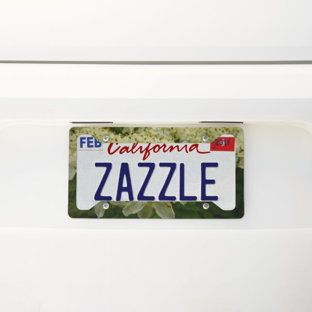 Queen Anne's Lace Wildflower Photo License Plate Frame (On Car)