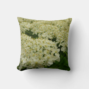 Queen Anne's Lace Wildflower Photo Throw Pillow