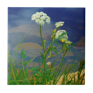 Queen Ann's lace blue lake Ceramic Tile