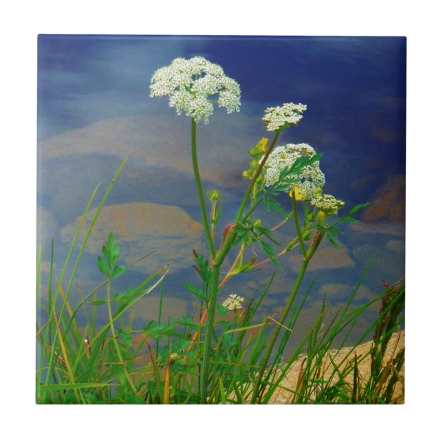 Queen Ann's lace blue lake Ceramic Tile (Front)