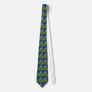 Queen Ann's lace blue lake Neck Tie
