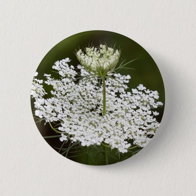 Queen Ann's Lace Button (Front)