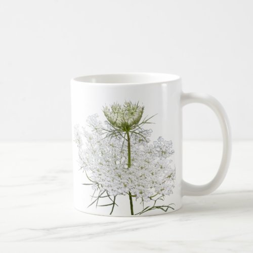 Queen Anns Lace On White Coffee Mug