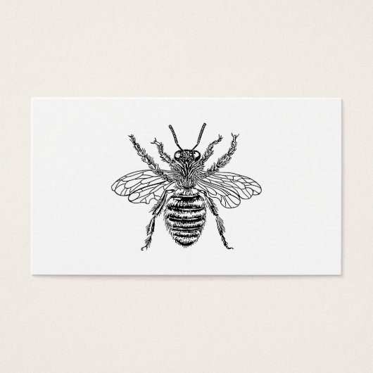 Queen Bee (Front)
