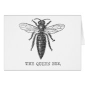 Queen Bee Bug Insect Antique Illustration (Front Horizontal)