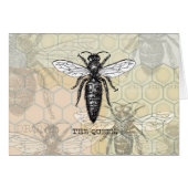 Queen Bee Bug Insect Antique Illustration (Front Horizontal)