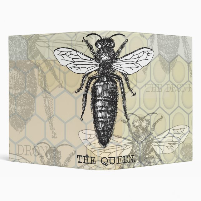 Queen Bee Bug Insect Antique Illustration 3 Ring Binder (Background)