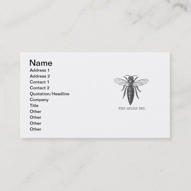 Queen Bee Bug Insect Antique Illustration Business Card (Front)