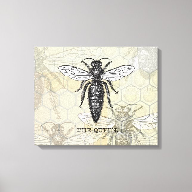 Queen Bee Bug Insect Antique Illustration Canvas Print (Front)