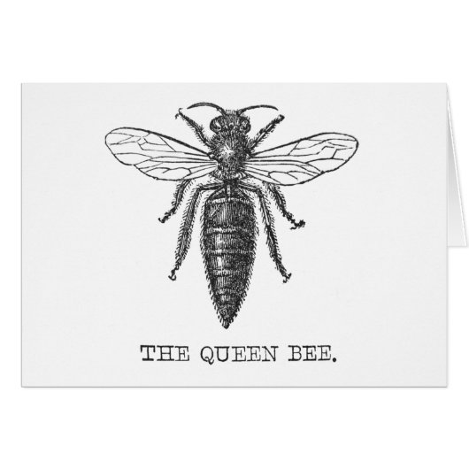 Queen Bee Bug Insect Antique Illustration Cards (Front Horizontal)