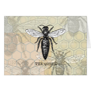 Queen Bee Bug Insect Antique Illustration Cards