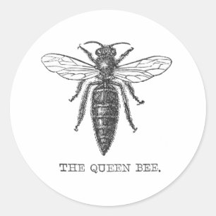 Queen Bee Bug Insect Antique Illustration Classic Round Sticker