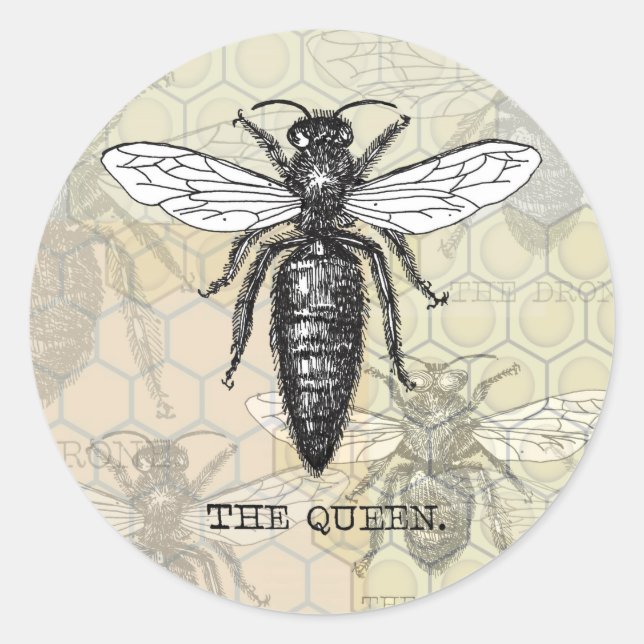 Queen Bee Bug Insect Antique Illustration Classic Round Sticker (Front)