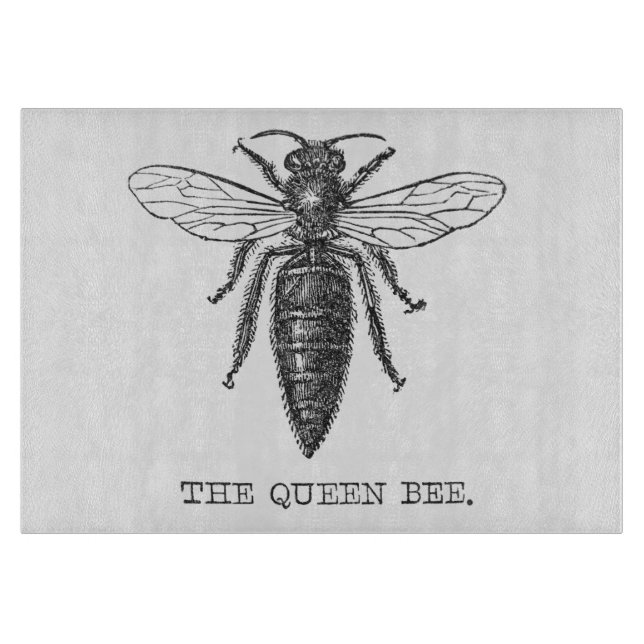 Queen Bee Bug Insect Antique Illustration Cutting Board (Front)