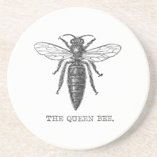 Queen Bee Bug Insect Antique Illustration Drink Coaster