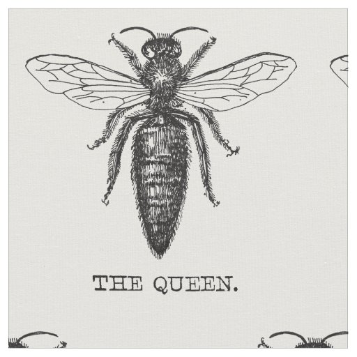 Queen Bee Bug Insect Antique Illustration Fabric