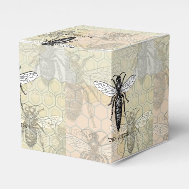 Queen Bee Bug Insect Antique Illustration Favor Boxes (Front Side)