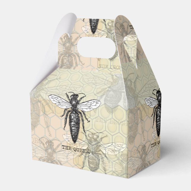Queen Bee Bug Insect Antique Illustration Favor Boxes (Front Side)