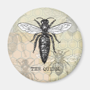 Queen Bee Bug Insect Antique Illustration Magnet