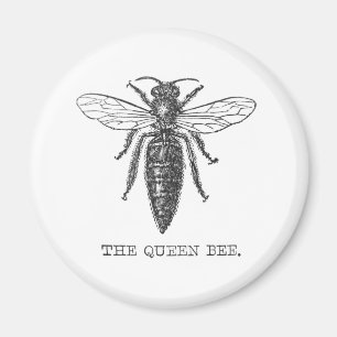 Queen Bee Bug Insect Antique Illustration Magnet