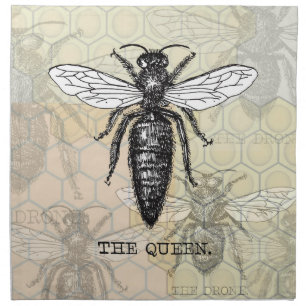 Queen Bee Bug Insect Antique Illustration Napkin