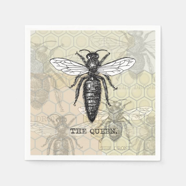 Queen Bee Bug Insect Antique Illustration Napkins (Front)