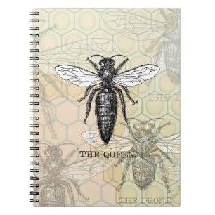 Queen Bee Bug Insect Antique Illustration Notebook