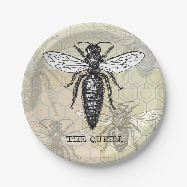 Queen Bee Bug Insect Antique Illustration Paper Plates (Front)