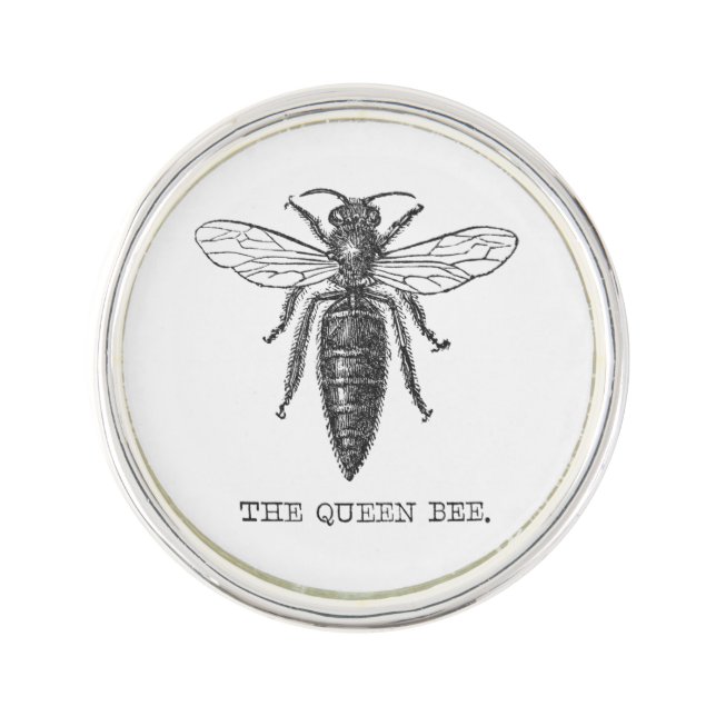 Queen Bee Bug Insect Antique Illustration Pin (Front)