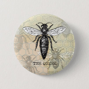 Queen Bee Bug Insect Antique Illustration Pinback Button