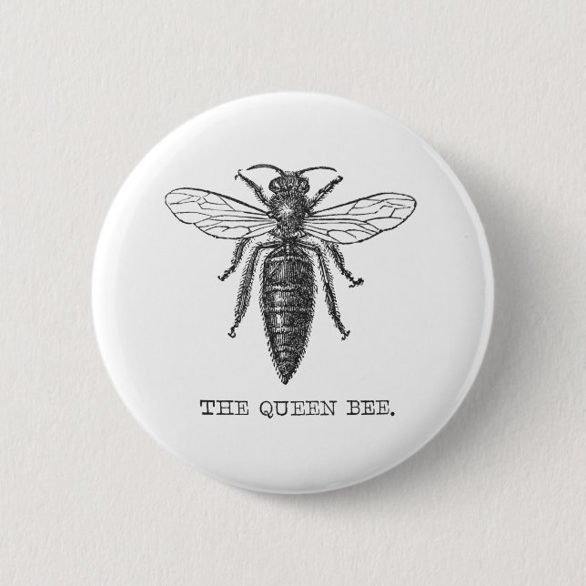 Queen Bee Bug Insect Antique Illustration Pinback Button (Front)