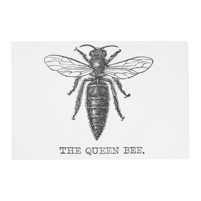 Queen Bee Bug Insect Antique Illustration Placemat (Front)